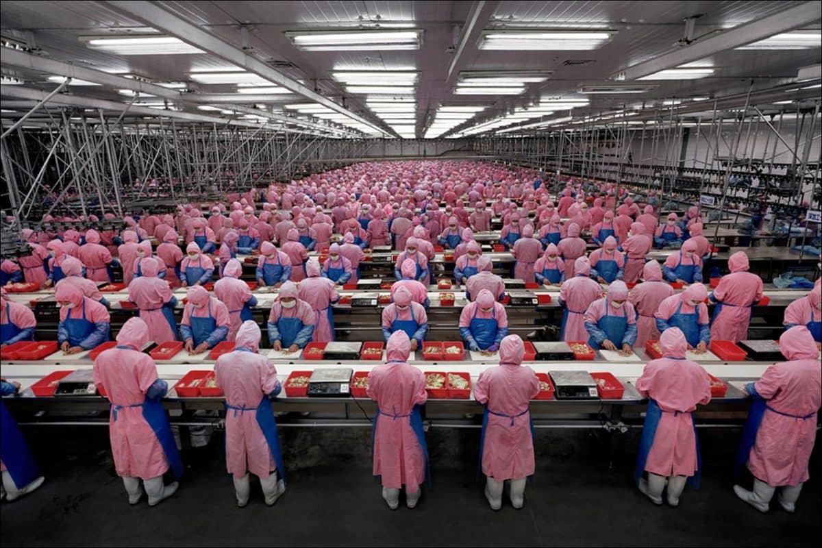 Chinese factory workers
