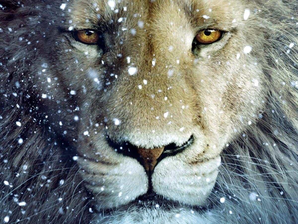 narnia-the-chronicles-of-narnia-20869320-1600-1200