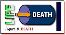 cross-ex-2-death cross-ex-2-death
