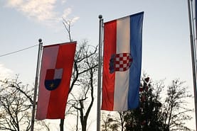 img_9556.jpg