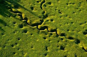 world-war-i-battlefields-100-years-later-michael-st-maur-sheil-3
