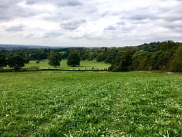 Ammerdown fields.jpg