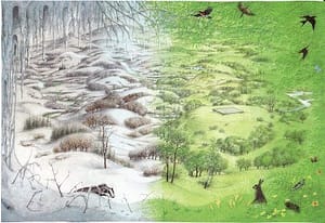 Pauline Baynes Narnia - Winter to Summer
