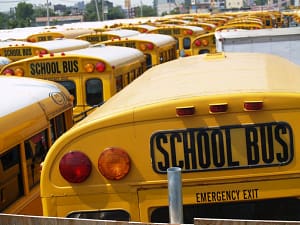 School Bus Invasion