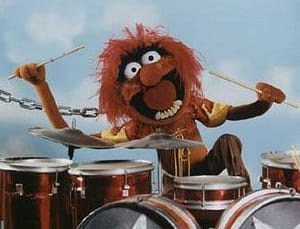 muppet animal drummer