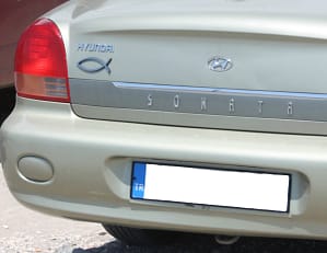 turkey fish badge