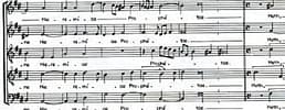 lassus