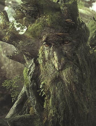 LOTR Treebeard LOTR Treebeard