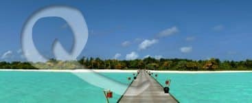 Q-featured