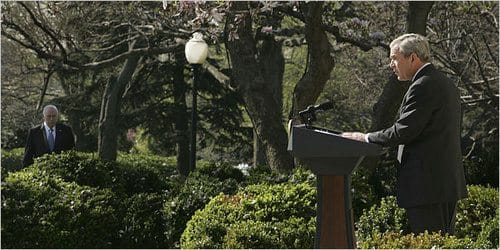 cheney-bush