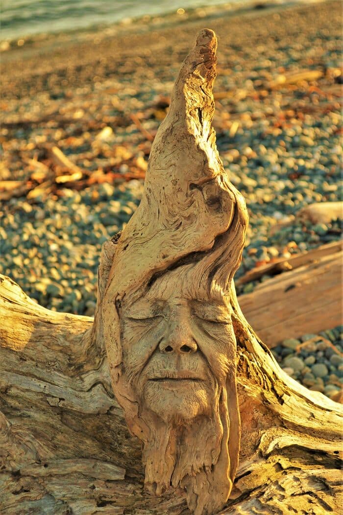 Bernier, Debra - Driftwood and-Healing-Power-of-Nature 3