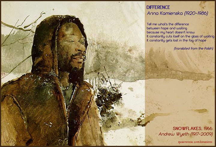 Andrew-Wyeth---Snowflakes-(1966)-2