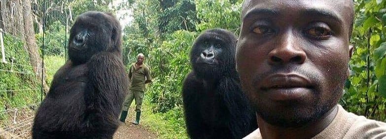 2019-04 - Virunga NP DRC Gorilla selfie banner
