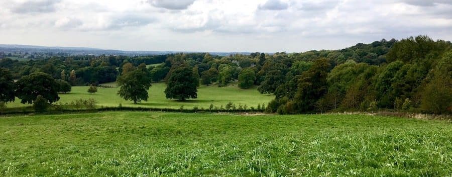 Ammerdown_fields_banner