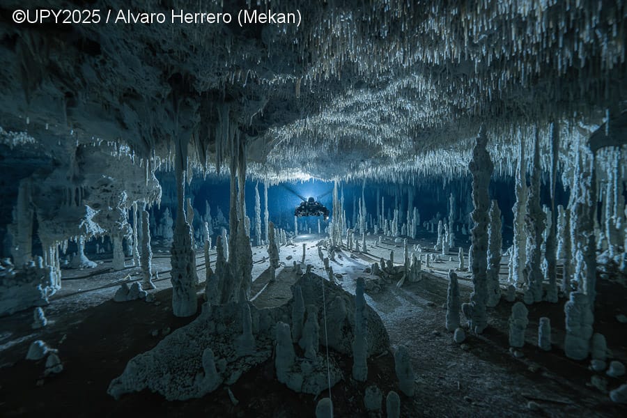 2025-Underwater Photographer of year