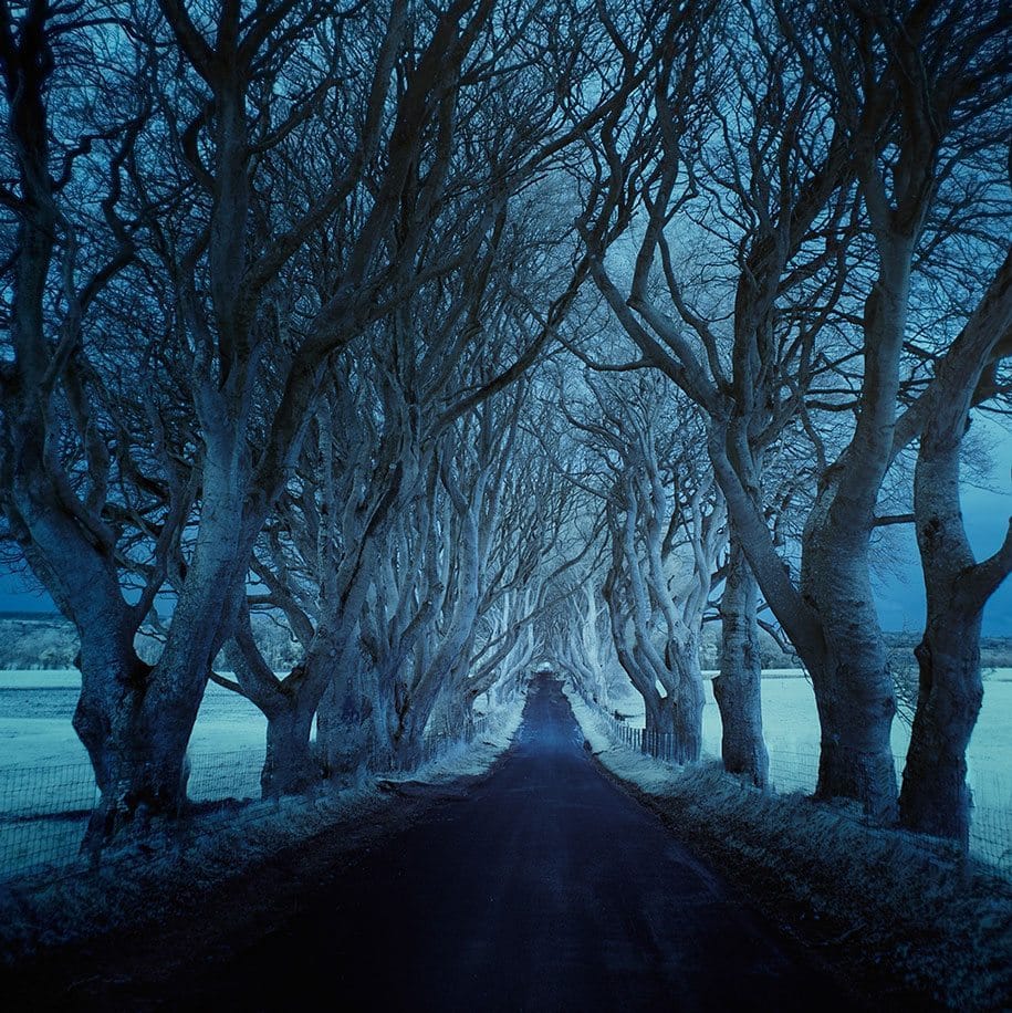 Andy Lee: Desolate road