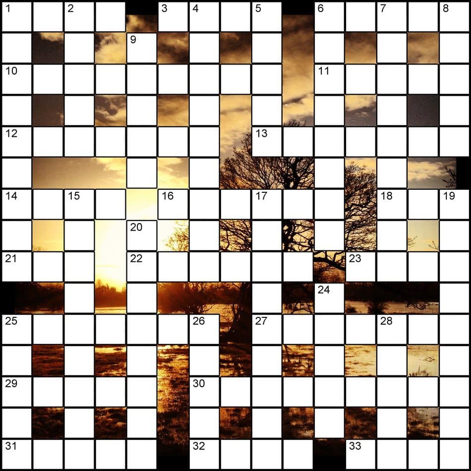2012-Review-Puzzle