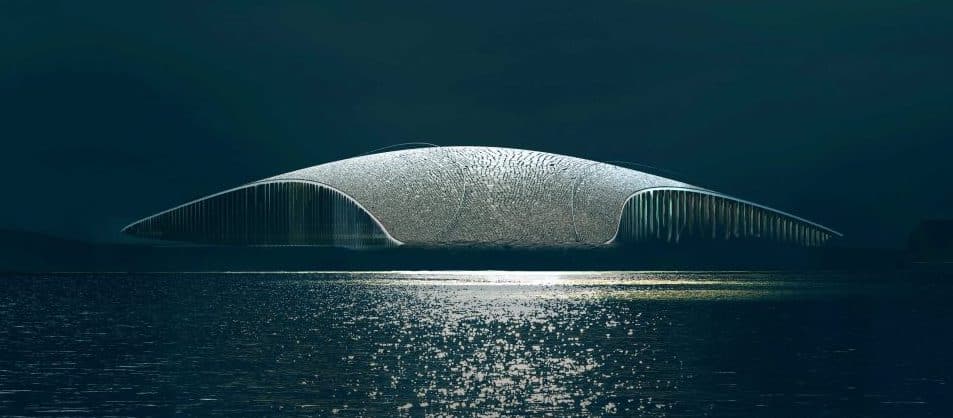 Mandrups-Dorte-Whale-Tale-Arctic-visitor-banner