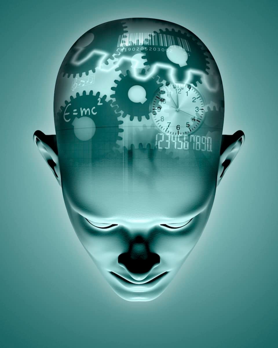 Computer brain